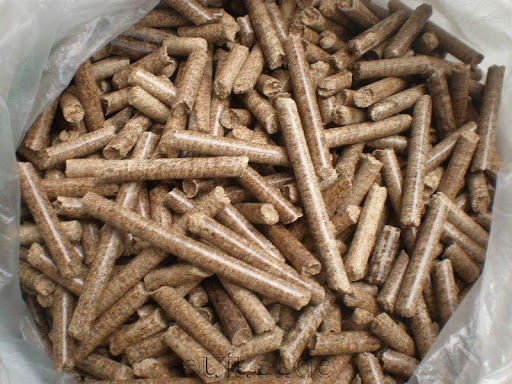 Best Wood Pallet Suppliers