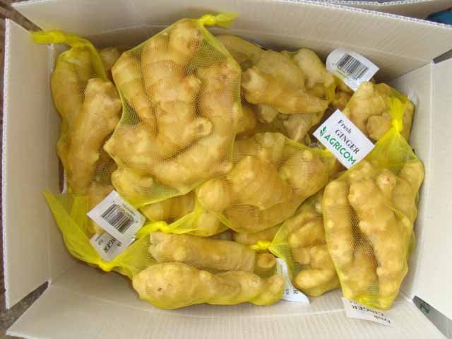 Ginger - Agricom Group Limited