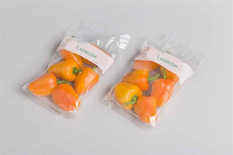 Yellow Pepper - Agricom Group Limited